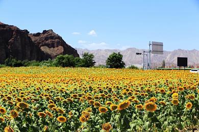 《装甲核心6：境界天火》4分钟试玩视频